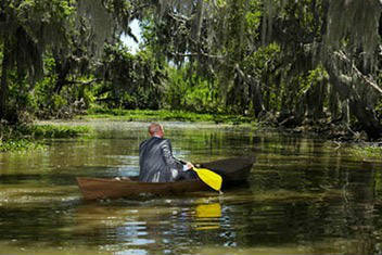 Accompagnement Direteur Commercial Accompagnement du Directeur Commercial, coaching Directeur commercial, directeur des ventes