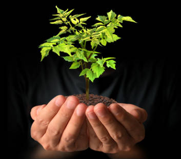 Lancement des innovations commerciales