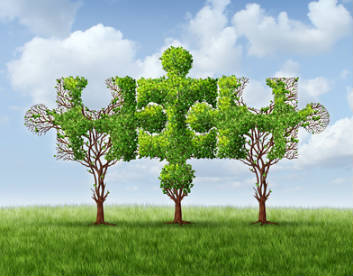 Organisation commerciale L'organisation commerciale, structuration de l'organisation commerciale d'une Entreprise PME/ETI/TPE